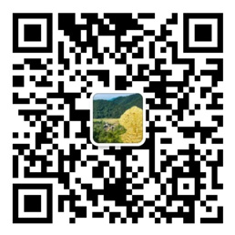 口袋牛店官方正版下载